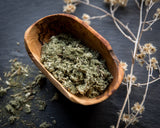 1 oz. Organic Mugwort - Artemisia vulgaris