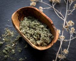 2 oz. Organic Mugwort - Artemisia vulgaris