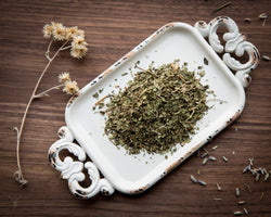 2 oz. Organic Lemon Verbena - Aloysia citriodora