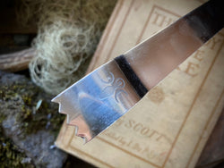 Stainless Steel Charcoal Tongs GODDESS