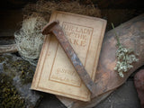 Large Antique Rusty Railroad Spikes