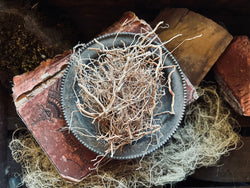 Root of Patchouli