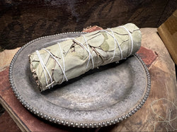 EUCALYPTUS Bundle